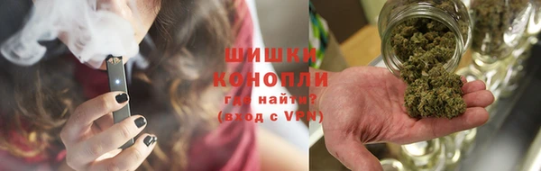 сатива Гусь-Хрустальный