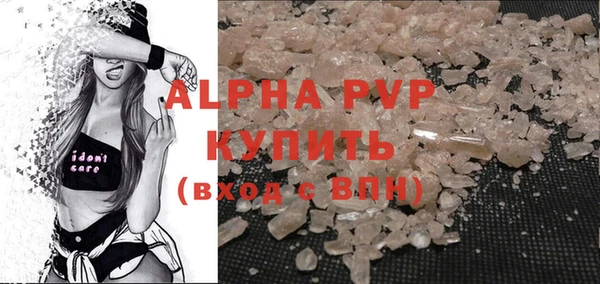 сатива Гусь-Хрустальный