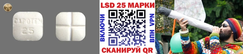 дарк нет клад  дарнет шоп  Новая Ладога  Лсд 25 экстази кислота 